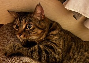 更多專家推薦專家頭像圖片